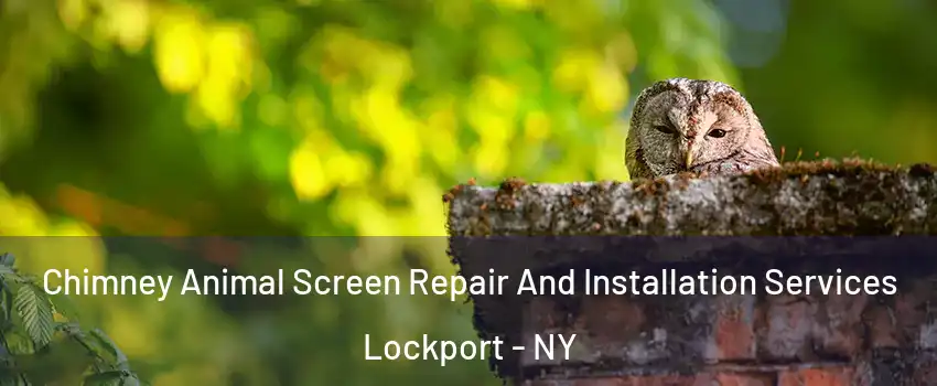  Chimney Animal Screen Repair And Installation Services Lockport - NY