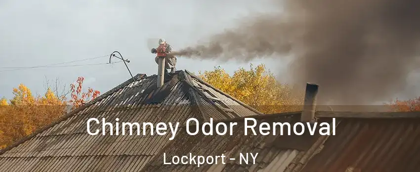  Chimney Odor Removal Lockport - NY