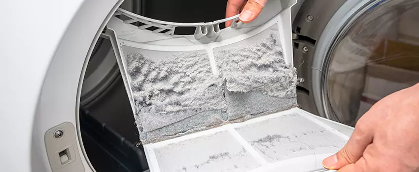 Best Dryer Lint Removal Company in Lockport, New York