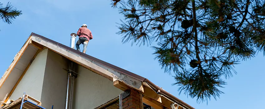 Birds Removal Contractors from Chimney in Lockport, NY